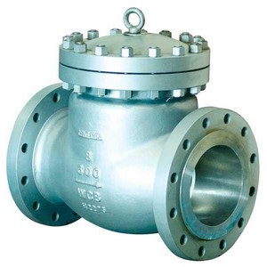 Válvula de retenção aço carbono