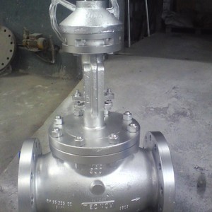 Valvula globo de inox